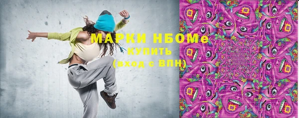 прущие грибы Белокуриха