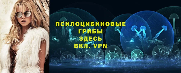 гидра Бугульма