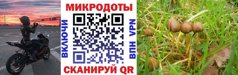 сайты даркнета как зайти Бронницы Галлюциногенные грибы мухоморы как найти